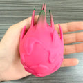 Squishy Fruit du Dragon Crunchy