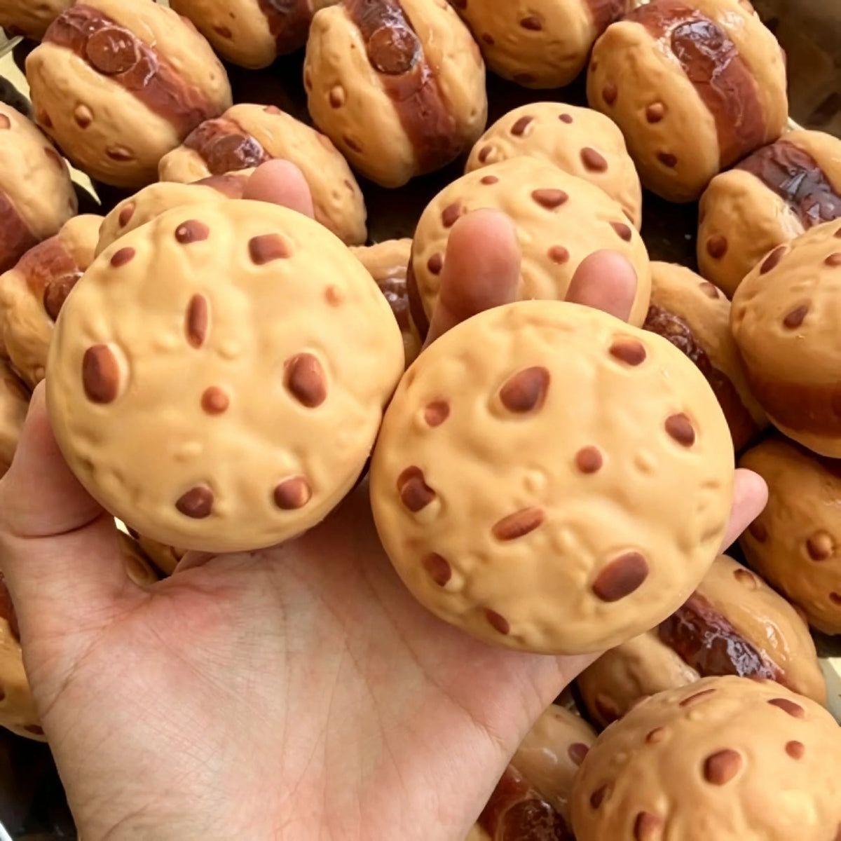 Squishy Biscuit Crunchy