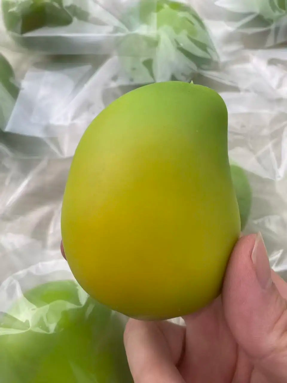 Squishy Mangue Crunchy