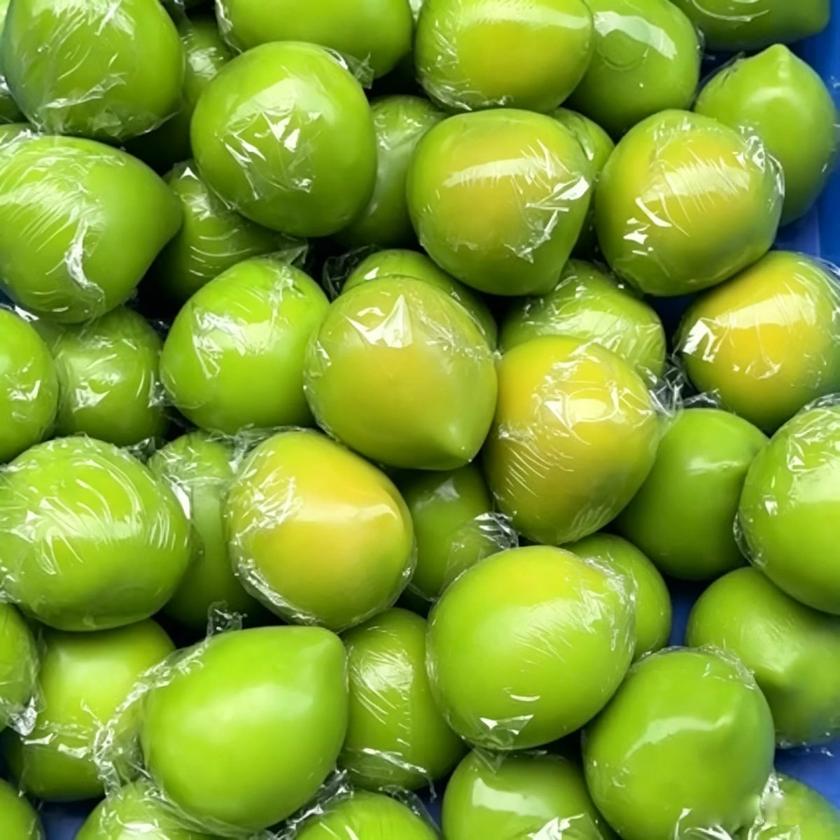 Squishy Mangue Glossy